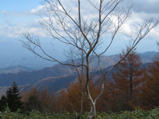 画像45